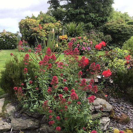 Eildon Bed and Breakfast Menai Bridge Exterior foto